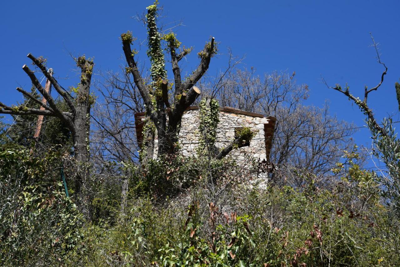 Chambre D'Hotes Cottes Callian  Exterior foto